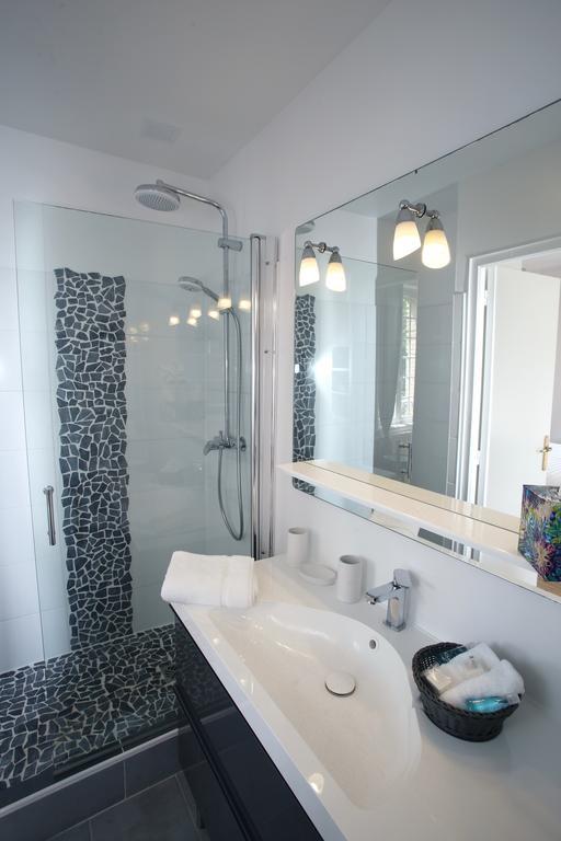 Bed and Breakfast Manoir Le Mesnil Saint-Martin-aux-Chartrains Exterior foto
